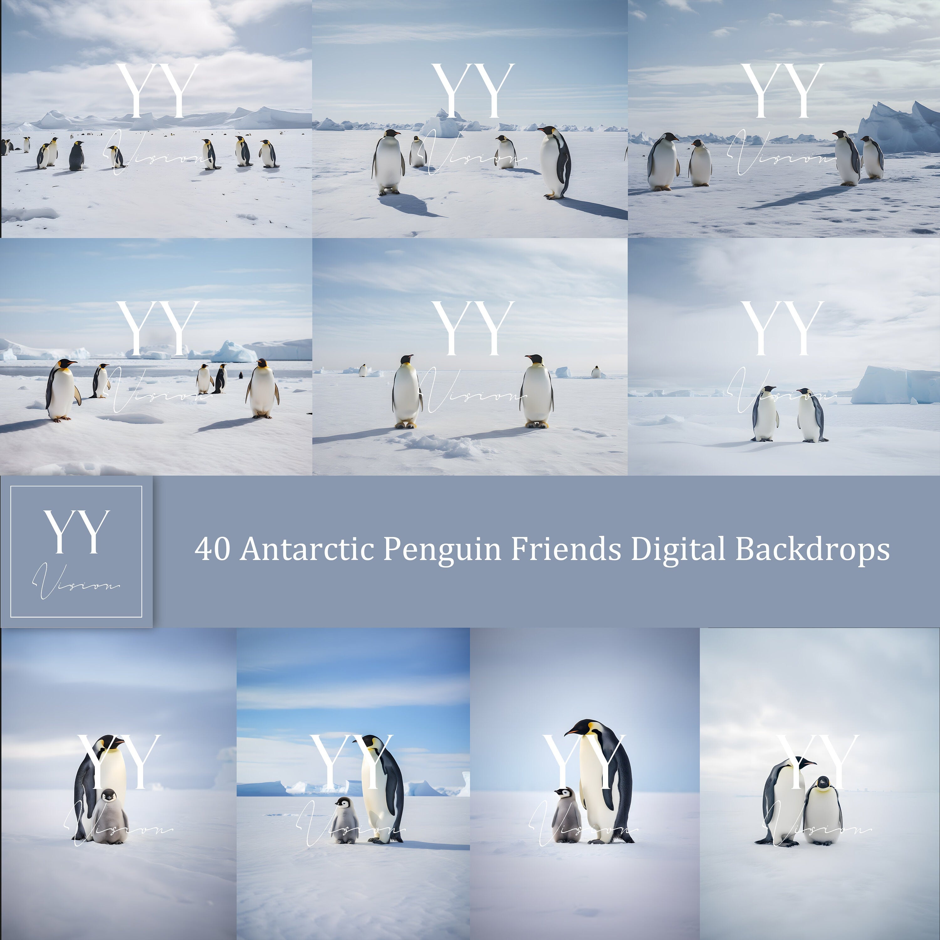 40 Antarctic Penguin Animal Friends Digital Backdrops Sets for Birthday Kids Photography Fine Arts Studio Photoshop Background