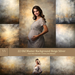 22 Old Master Portrait Background Beige Silver Digital Backdrops Sets for Maternity Graduation Photography Fine Arts Texture Photoshop