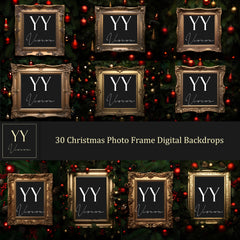 30 Christmas Photo Frame Digital Backdrops Sets for Christmas Gift Family Photography Fine Arts Background